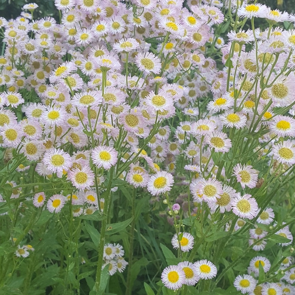 Meet your Posher, Khadidja